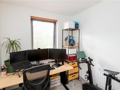 Picture 25